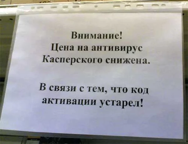 11092453.webp