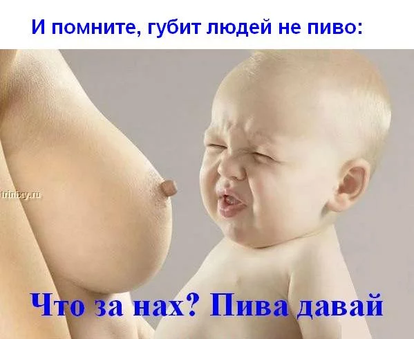 11146819_5469883_pyatnitsa_19.webp