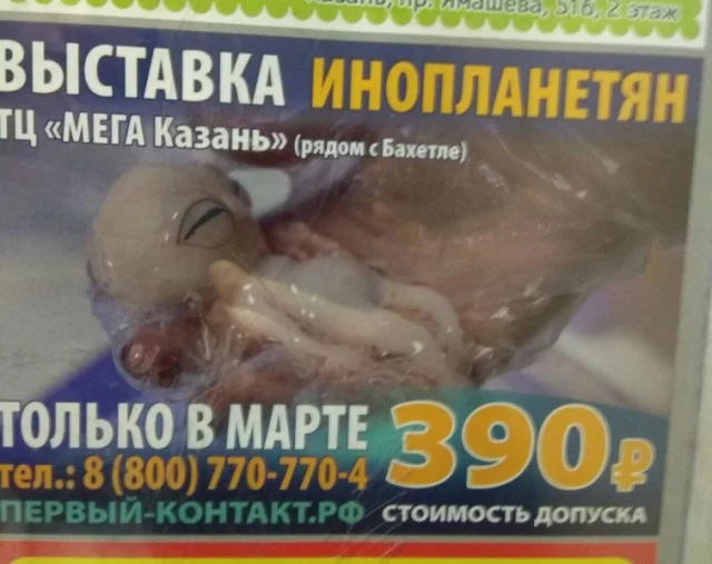 11165795.webp