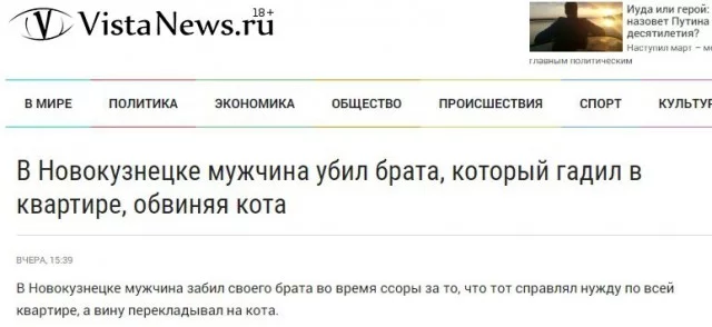 11165800.webp