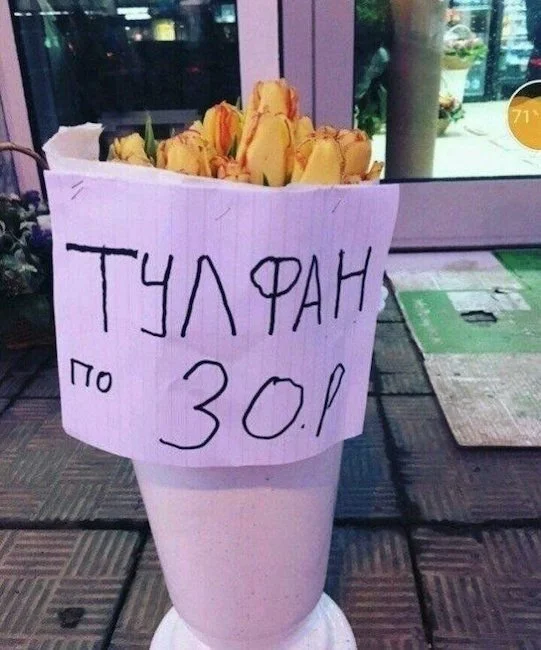 11165916.webp