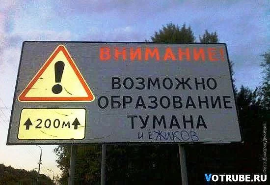 1116773.webp