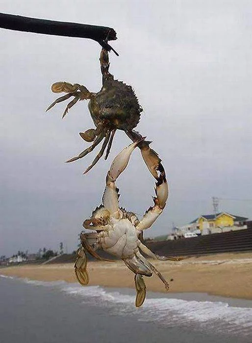11174077d.webp