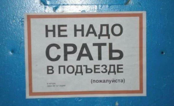 11175582.webp