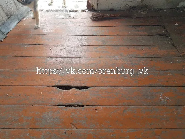 11207823.webp
