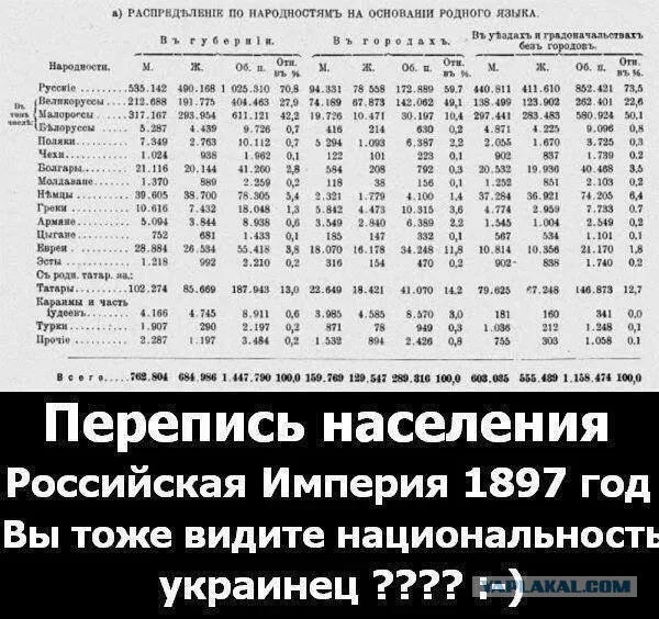 11214271.webp