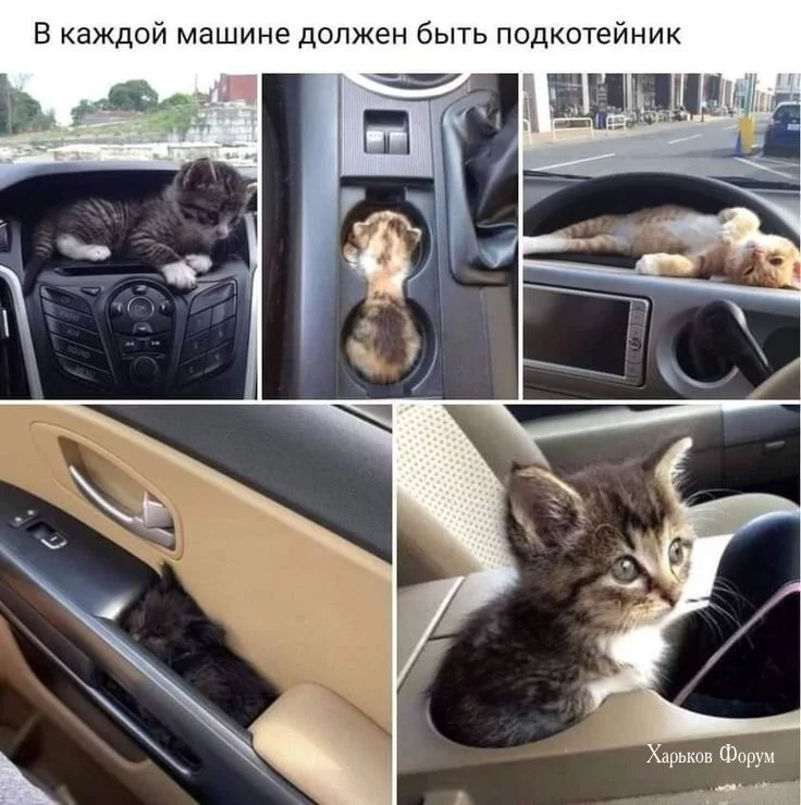 1125dd082a4bb22aa.webp