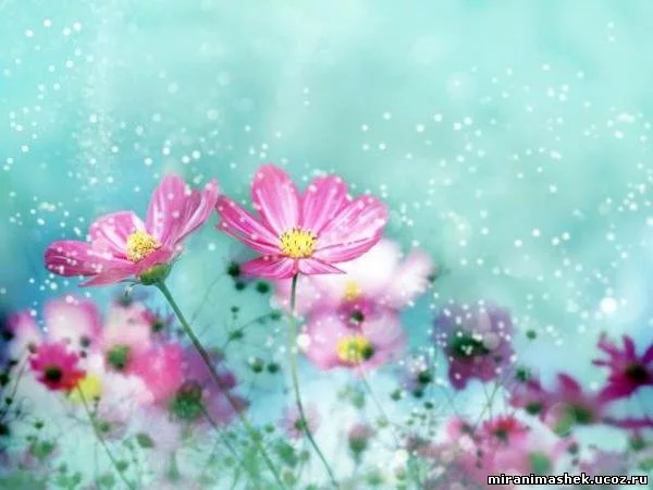 112809412.webp