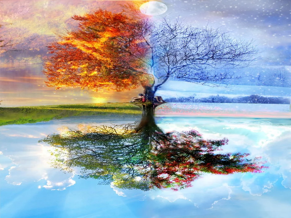 113607014CC6C42D4B498B.webp