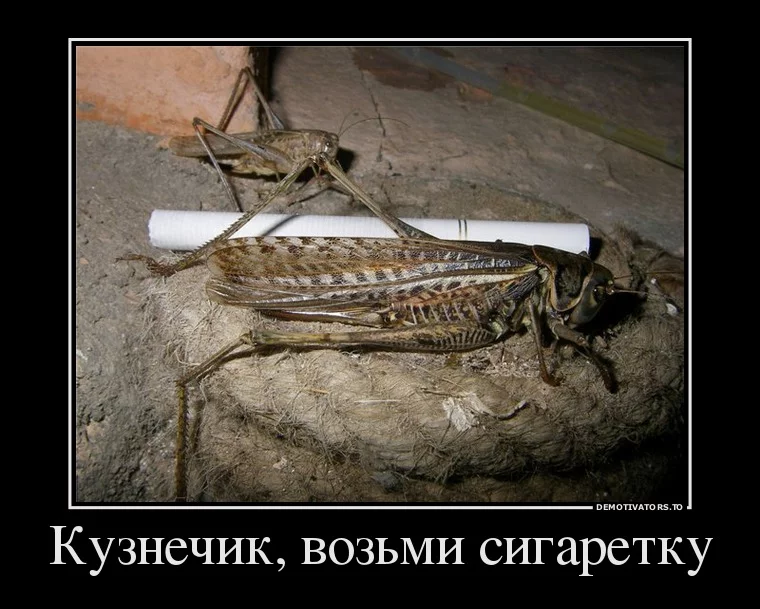 113b626f542f7290d4e0ddb618e7c9c4.webp