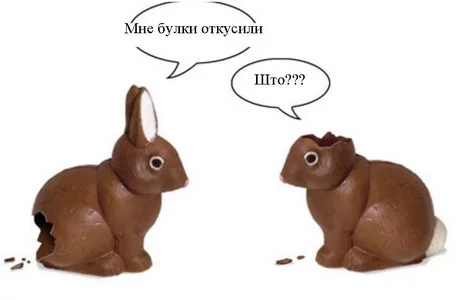 114430212661.webp