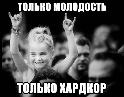 1154798.webp