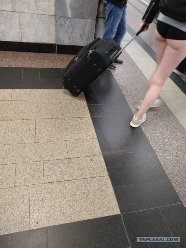 11555891.webp