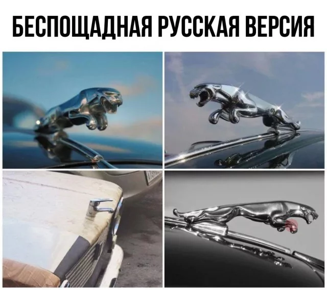 11561598.webp