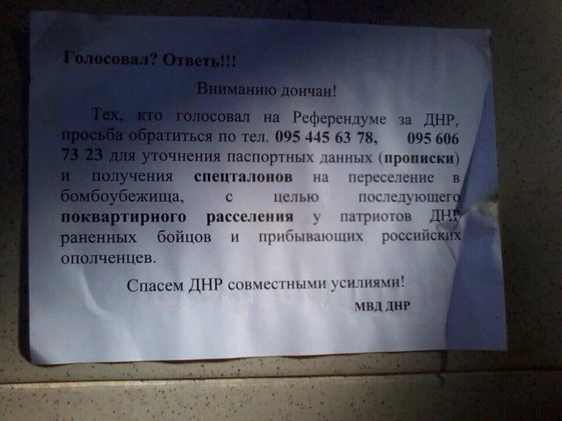 1156339_original.webp