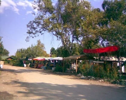1156391065.webp