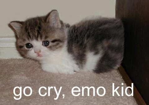 1161382101-emo.b.webp