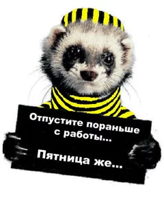 116213.webp