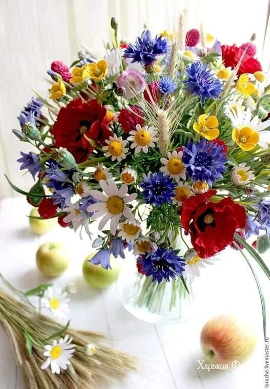 11665c342f1c80b8.webp