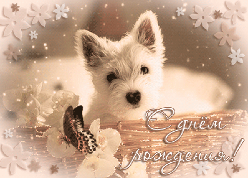 117260133.gif