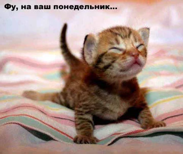 1176170191_tonnel.webp