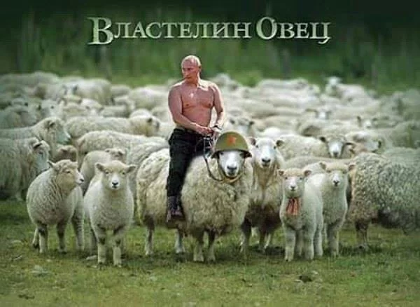 117ac96b9db4c46693b6637eb252e4e8.webp