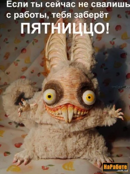1187869987_5.webp