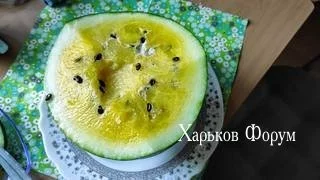 118a92e433a98543a.webp