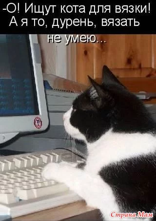 11919344_66475nothumb650.webp