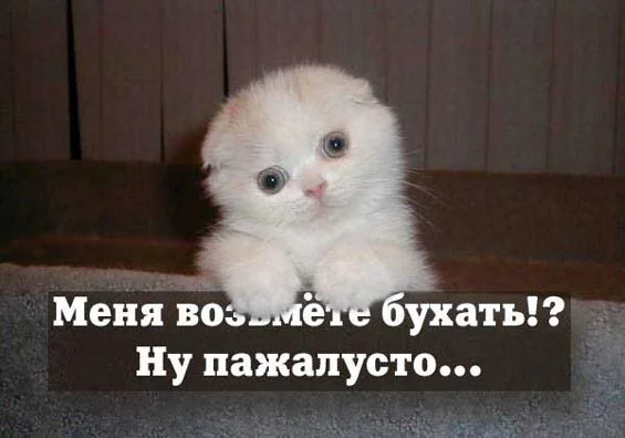 119698.webp