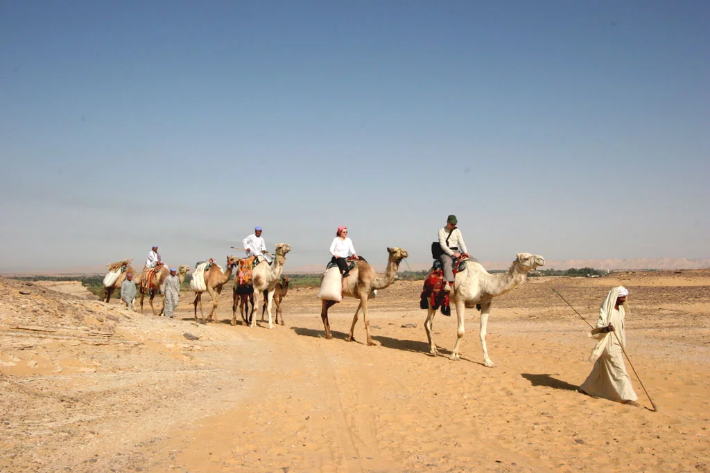 11_camel_caravan.webp