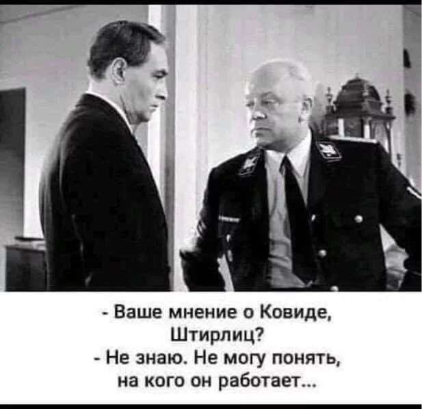 11c15bea47823c81b.webp
