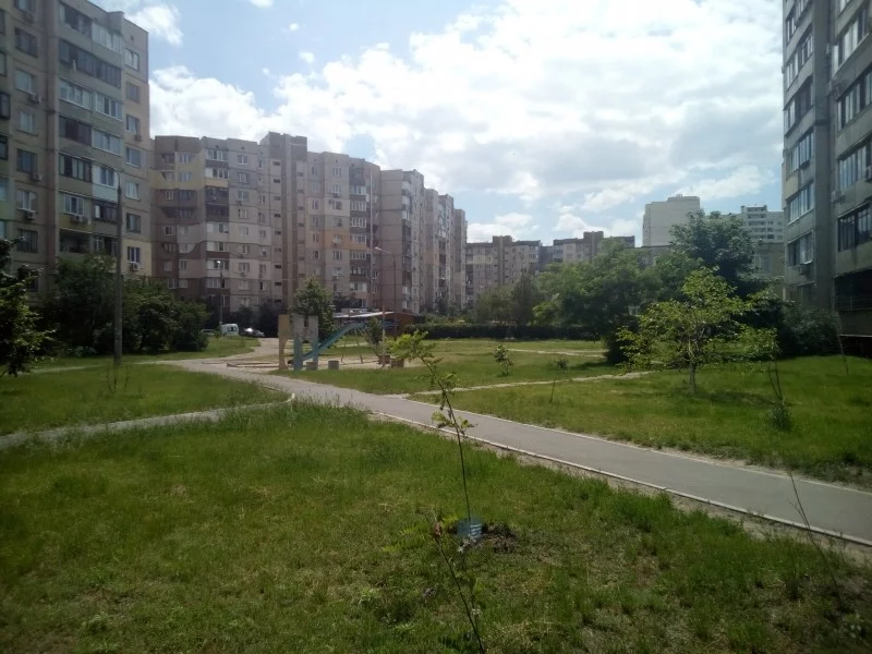 11c2c6.webp