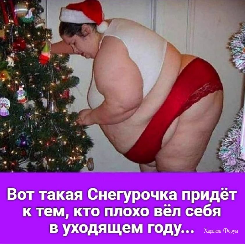 11c44c014df5afea4.jpg