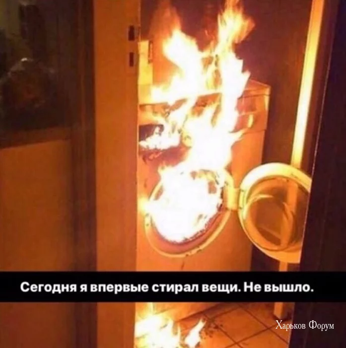 11f59af5e5da388955cd.webp