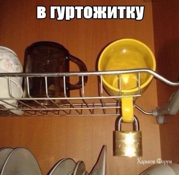 11f6bff7cc7952f516fe.webp