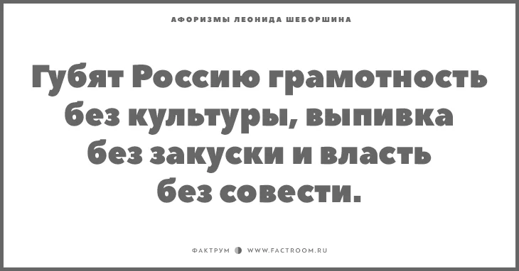 12-1-730x382.webp