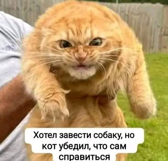 12.JPG