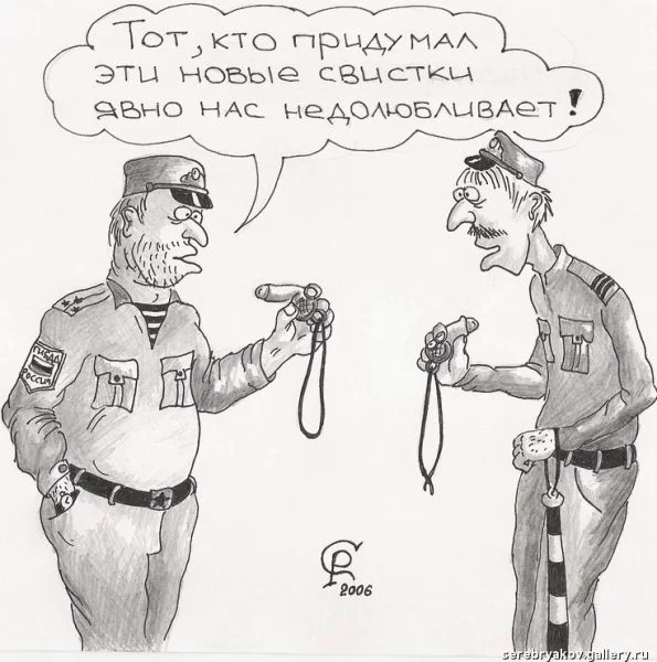 12.webp