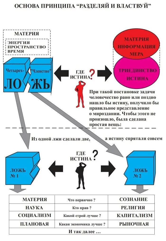 12.webp