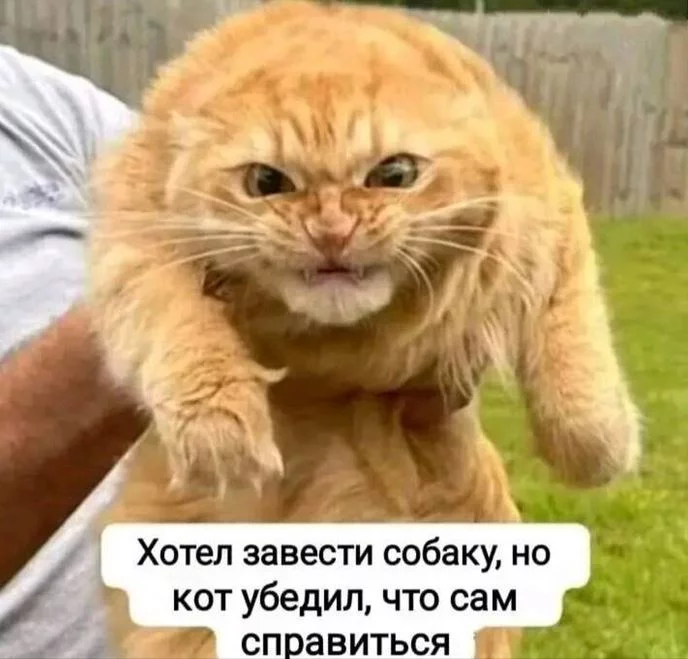 12.webp