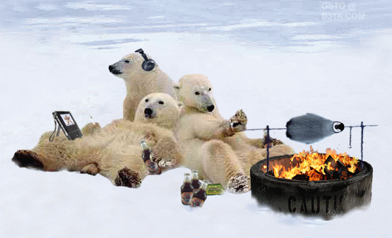 1207167409_cool-bears.gif