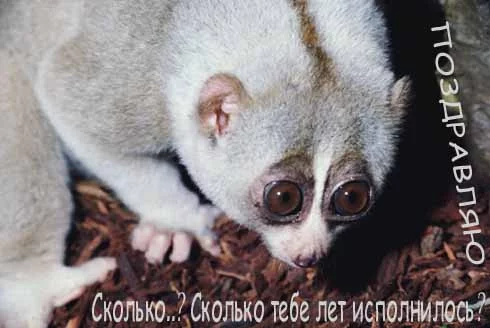 1207330488_57.webp