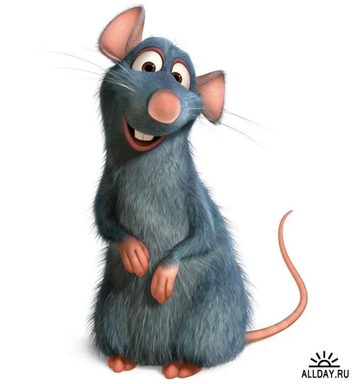 12079740_ratatuy.webp
