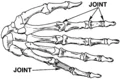 120px-Joint_%28PSF%29.webp