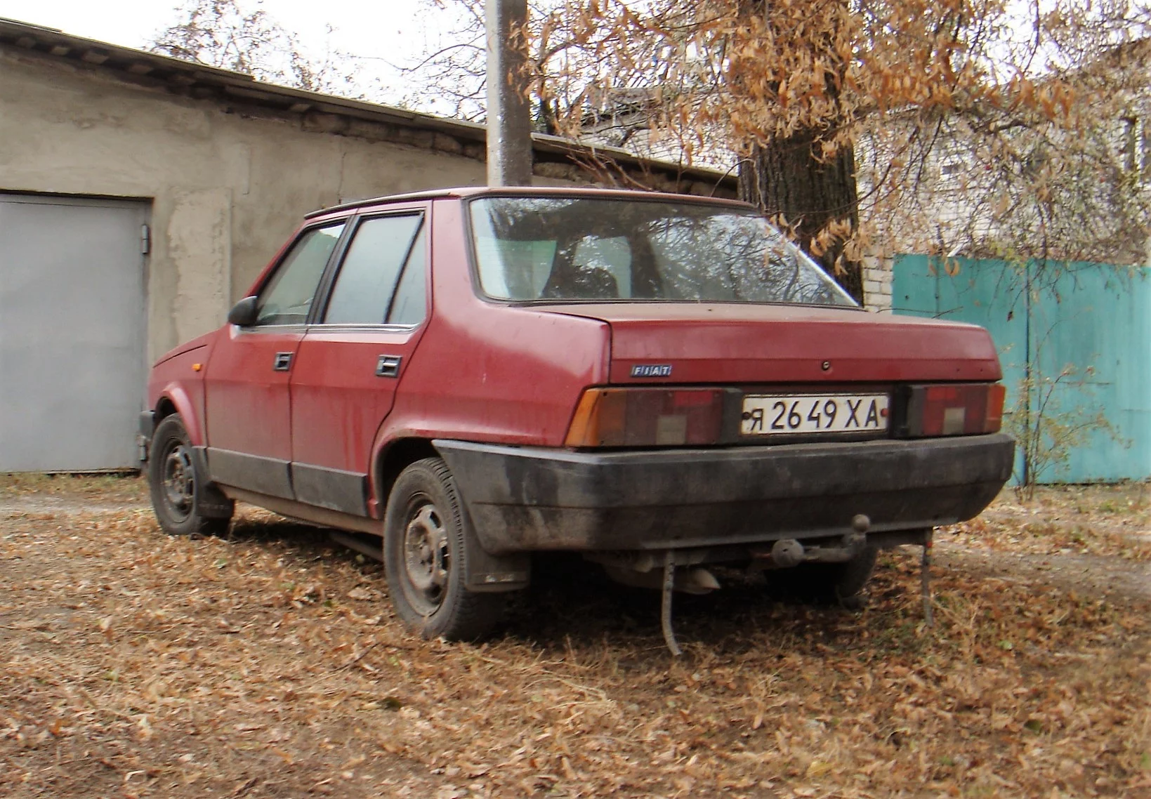 12169404.webp