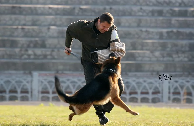 1218131706_g_7.webp