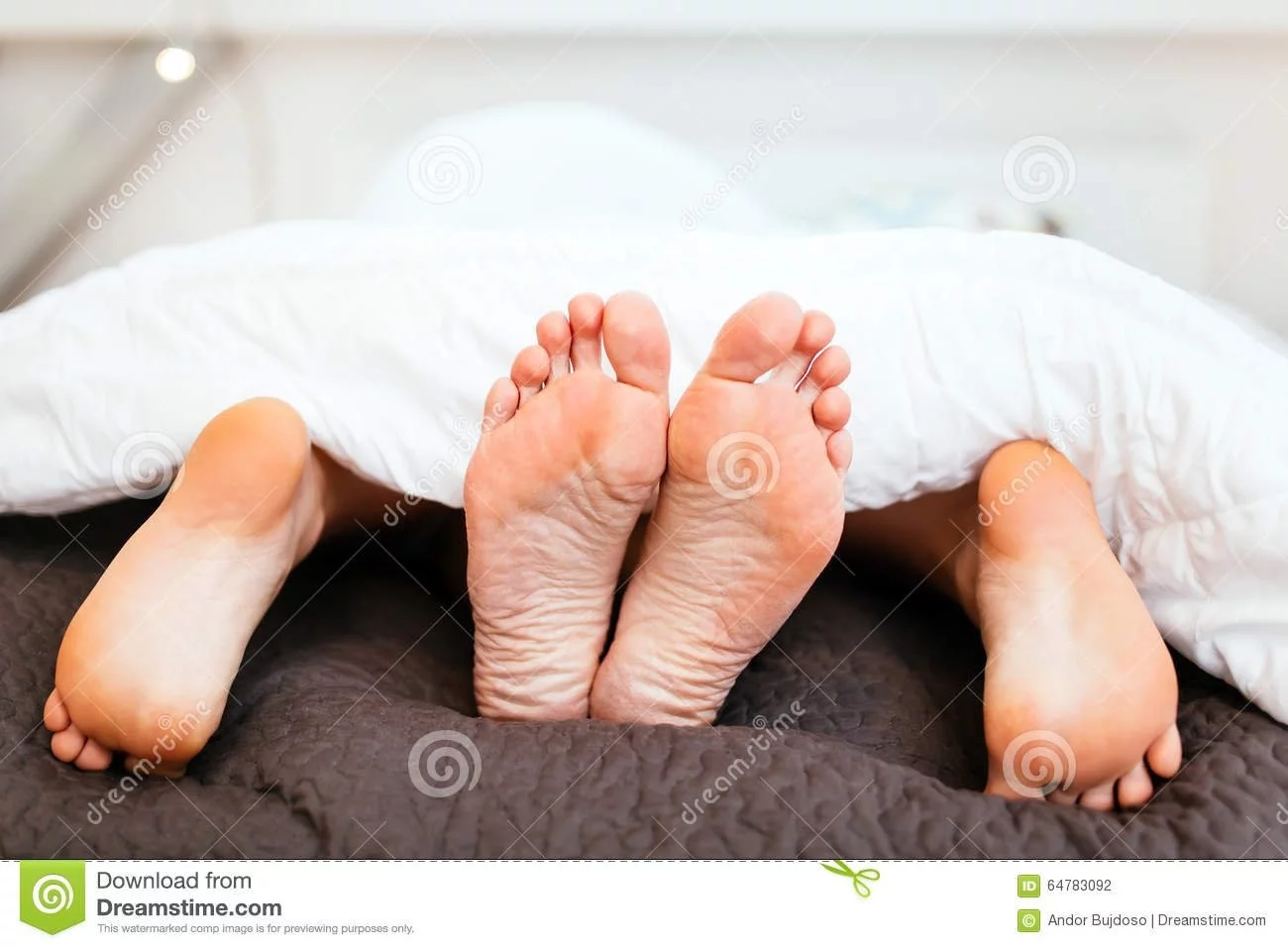 1221aaed24304042dfb6fbb.webp