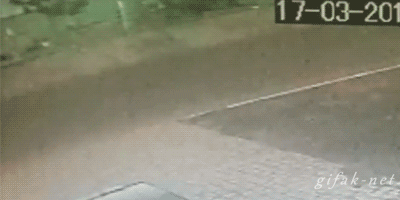122256_original.gif