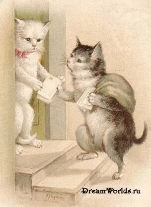 1224855503_old_cat_003.webp